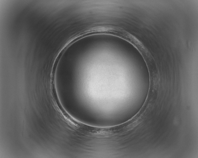 X0000083651178200702121142