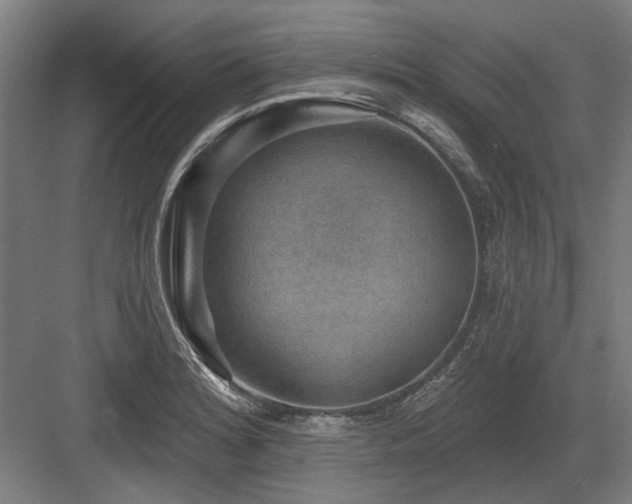 X0000083651180200702121142