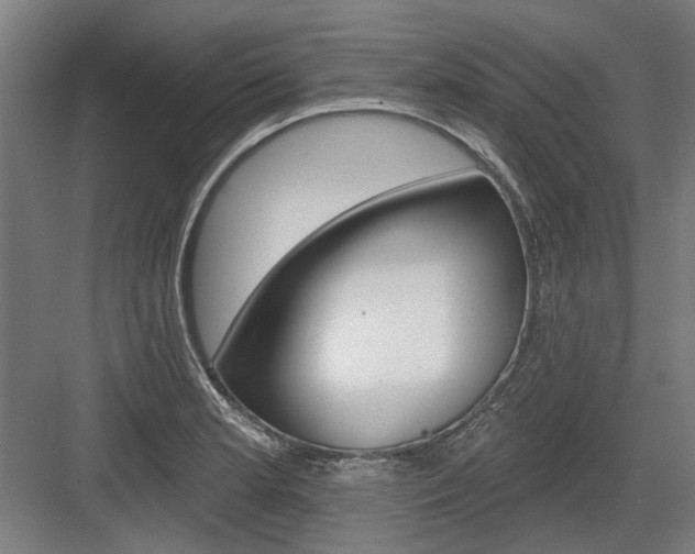 X0000083651181200702121142