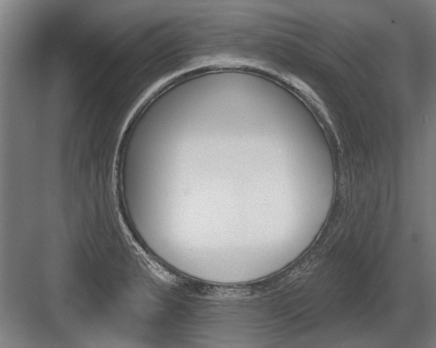 X0000083651183200702121142