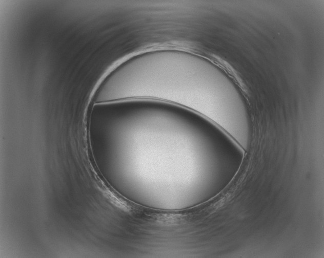 X0000083651184200702121142