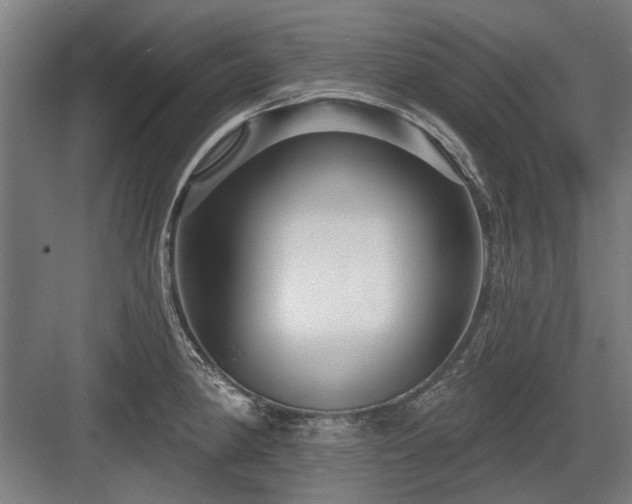 X0000083651190200702121142