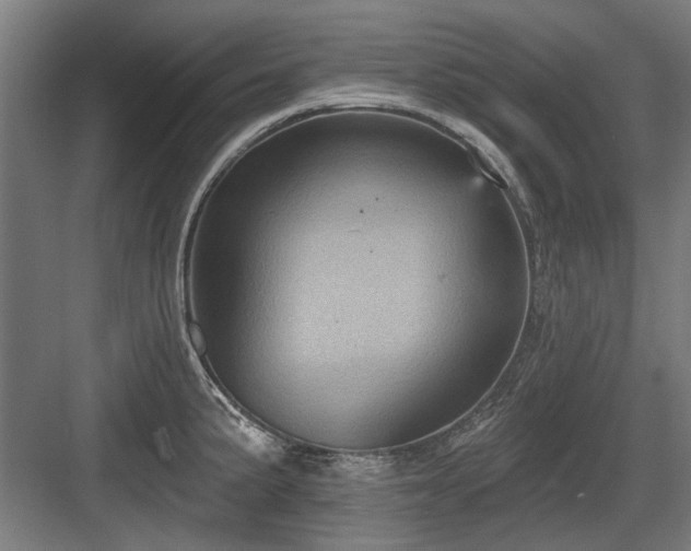 X0000083651191200702121142