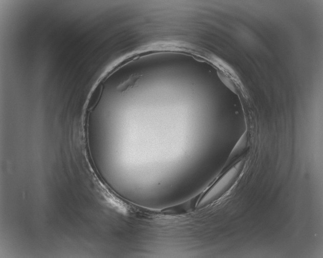 X0000083651192200702121142