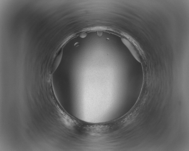 X0000083651193200702121142
