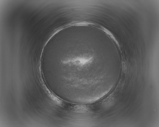 X0000083651194200702121142