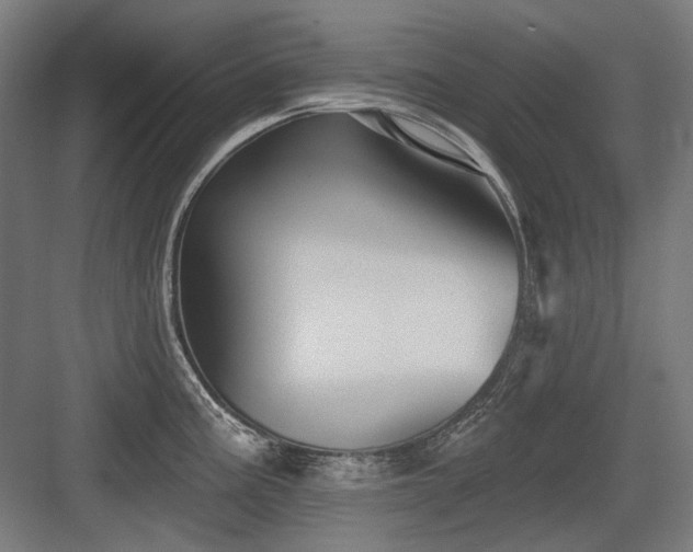 X0000083651195200702121142