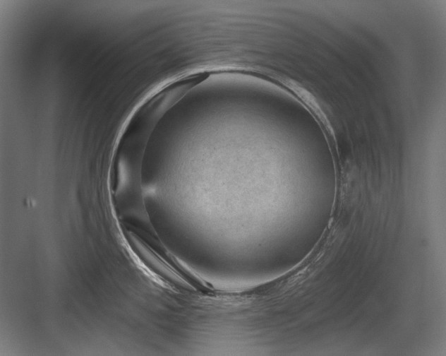 X0000083651197200702121142