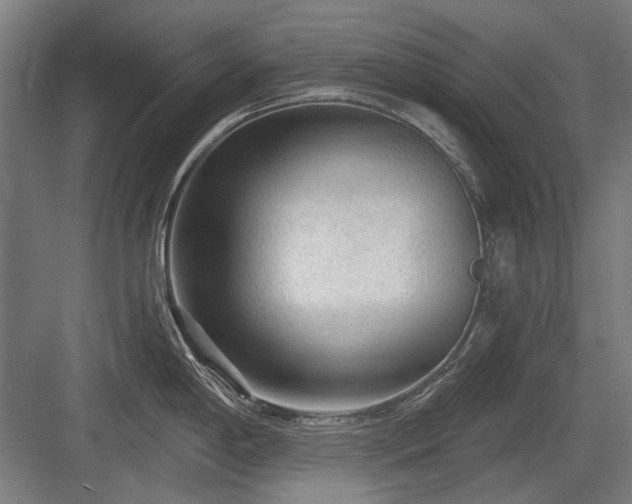 X0000083651198200702121142