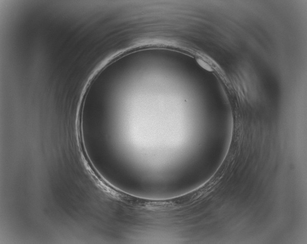 X0000083651199200702121142