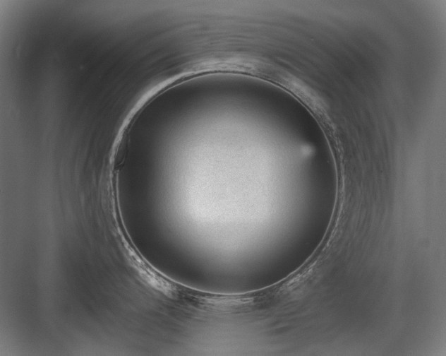 X0000083651200200702121142