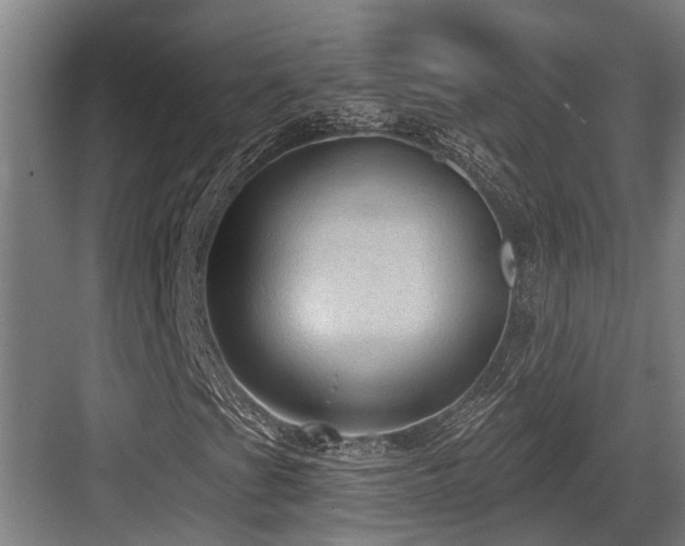 X0000083651201200702121141