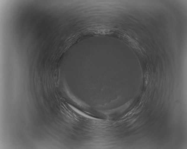 X0000083651202200702121141