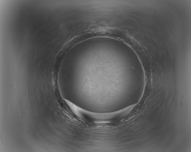 X0000083651206200702121141