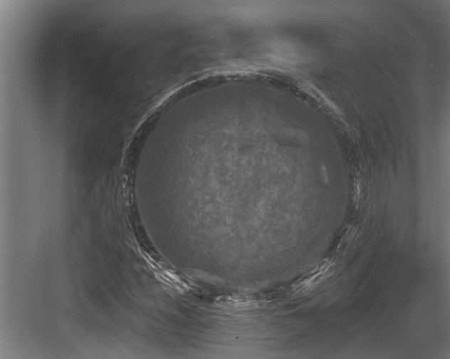X0000083651208200702121141