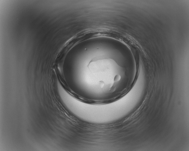 X0000083651210200702121141