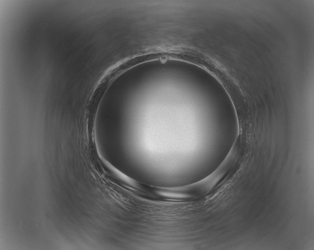 X0000083651214200702121141