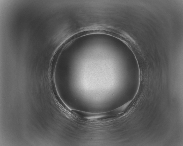 X0000083651216200702121141