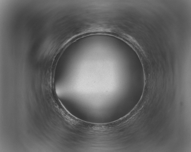 X0000083651220200702121141