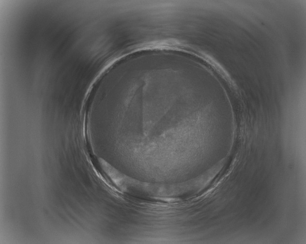 X0000083651224200702121141