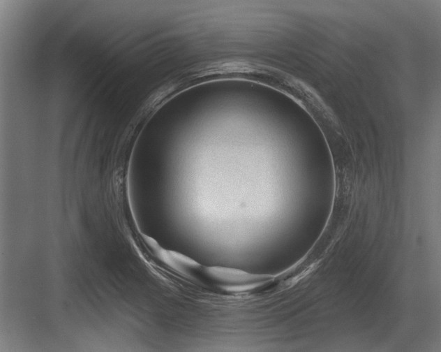 X0000083651225200702121141