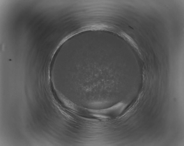 X0000083651226200702121141