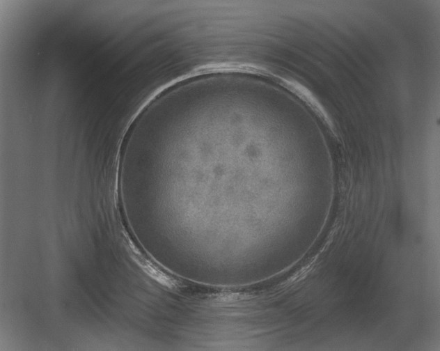 X0000083651228200702121141