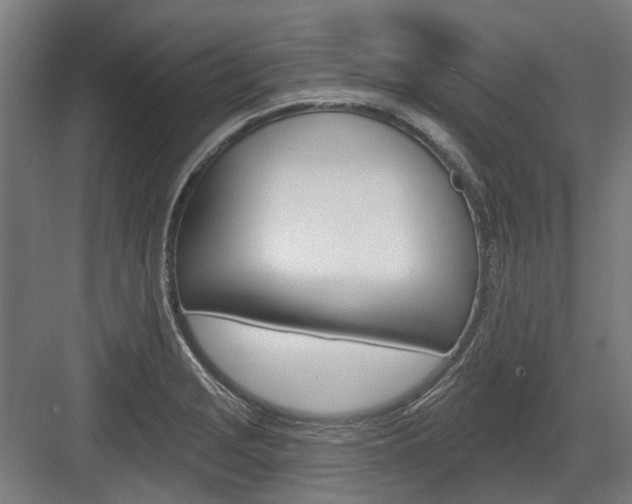 X0000083651229200702121141