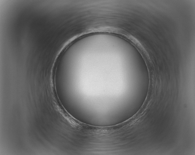 X0000083651230200702121141