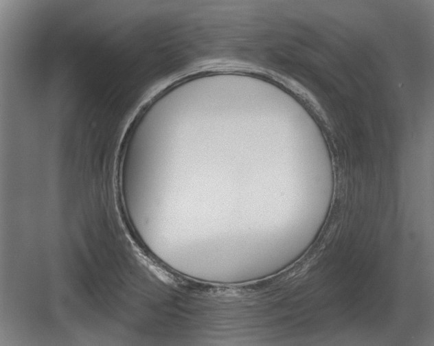 X0000083651231200702121141
