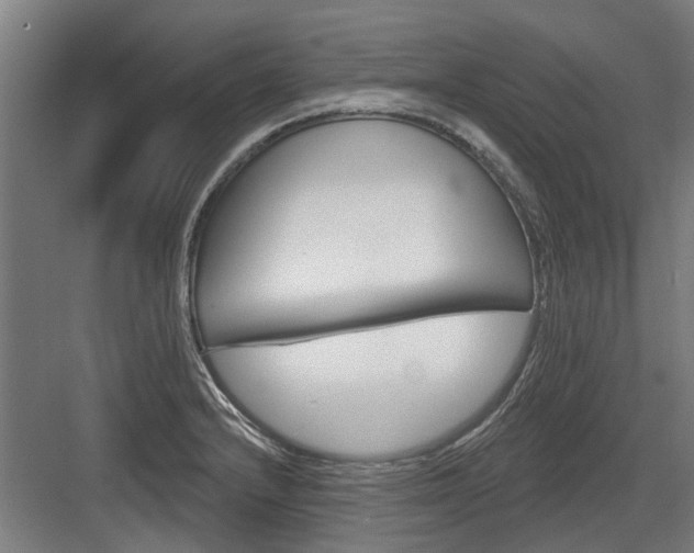 X0000083651232200702121141
