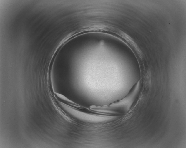 X0000083651234200702121141