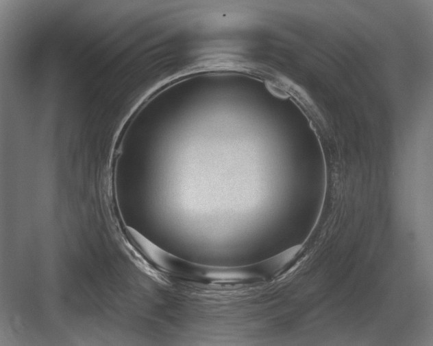 X0000083651236200702121141