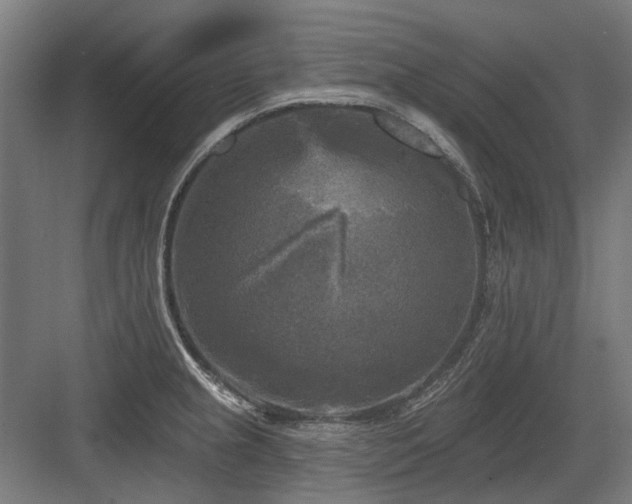 X0000083651237200702121142