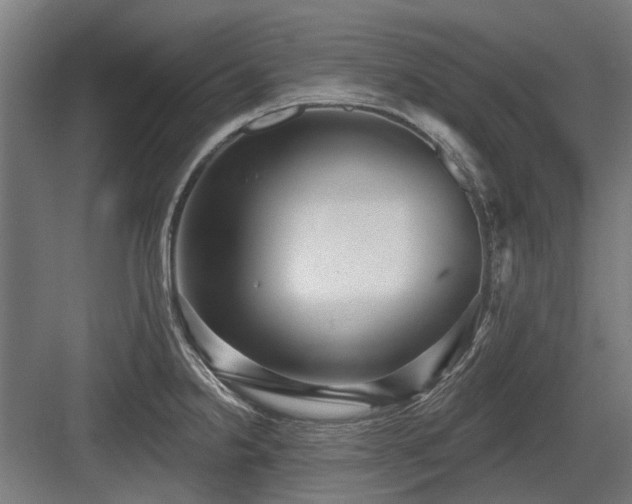 X0000083651238200702121142