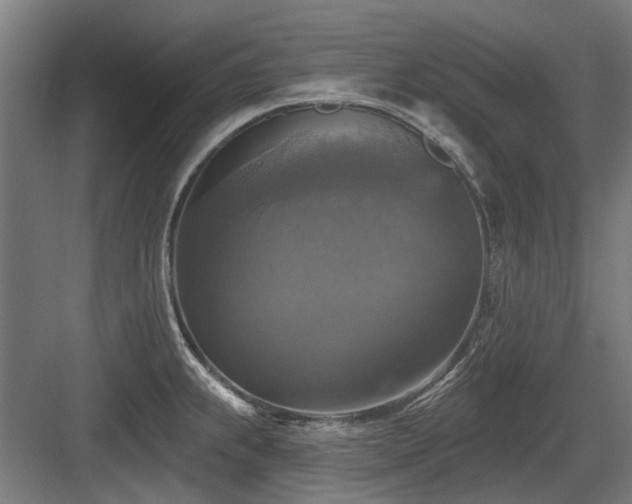 X0000083651239200702121142