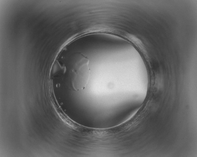 X0000083651242200702121142