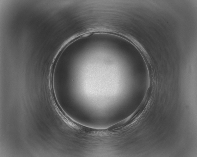 X0000083651246200702121142