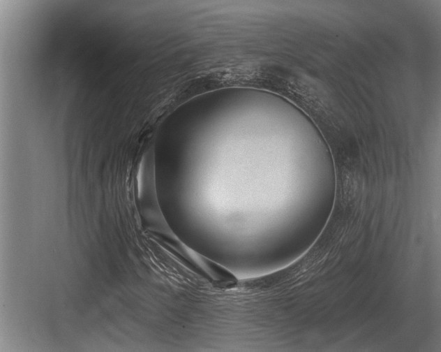 X0000083651250200702121141