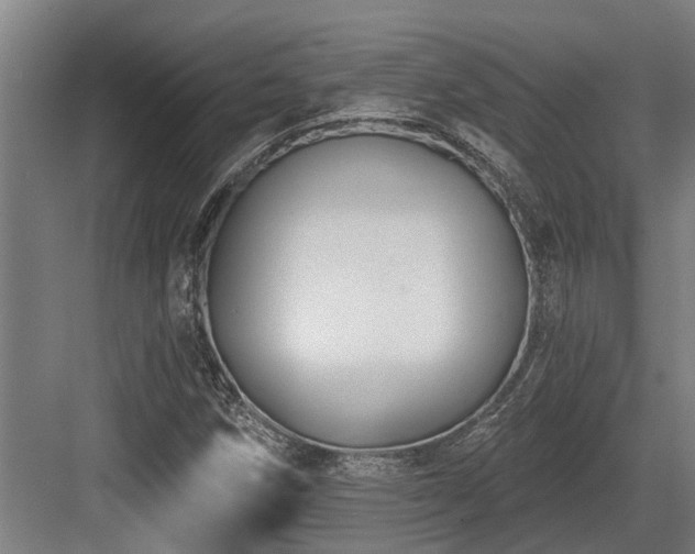 X0000083651258200702121141