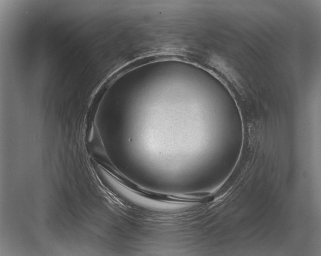 X0000083651260200702121141