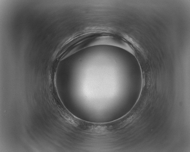 X0000083651261200702121141