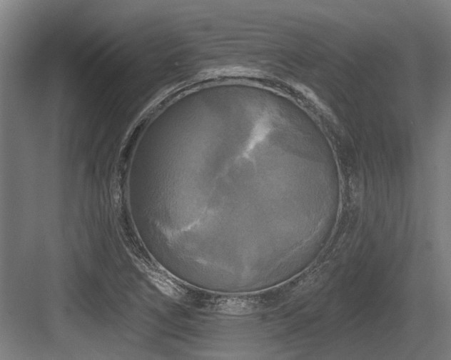 X0000083651266200702121141