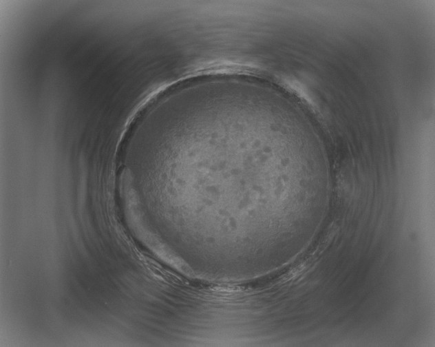 X0000083651267200702121141