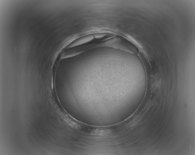X0000083651269200702121141