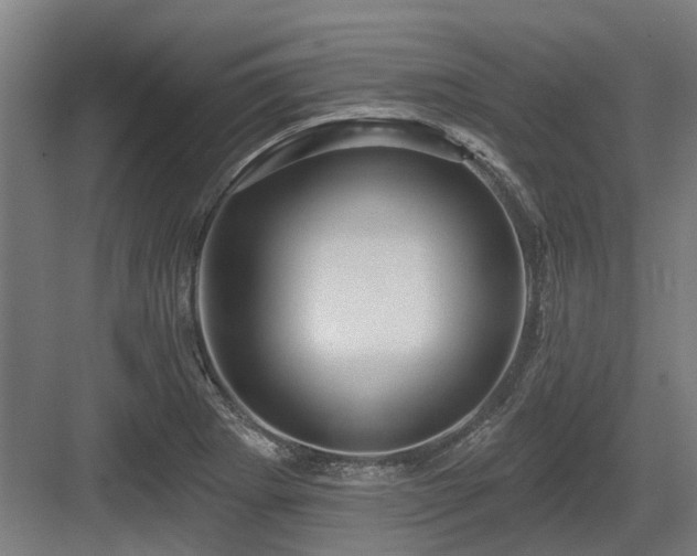 X0000083651273200702121140