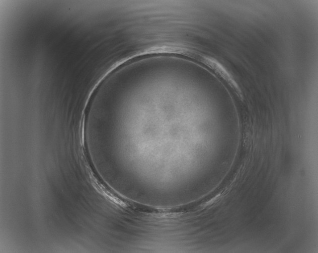 X0000083651276200702121140