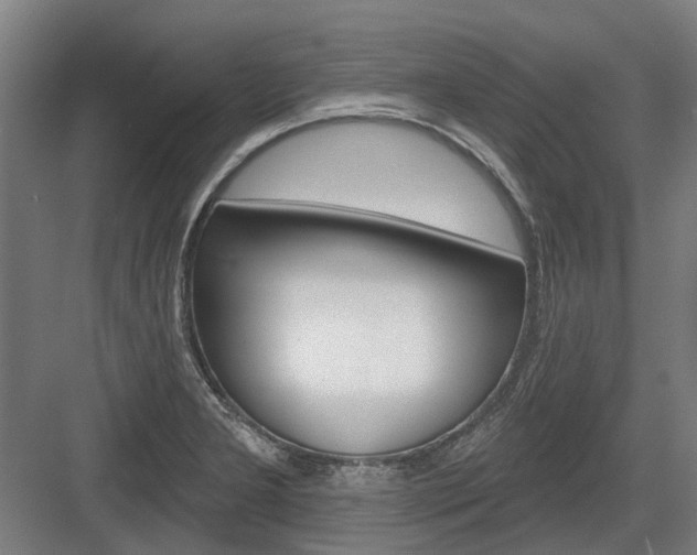 X0000083651277200702121140