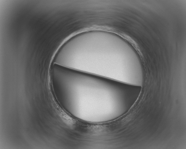 X0000083651280200702121140