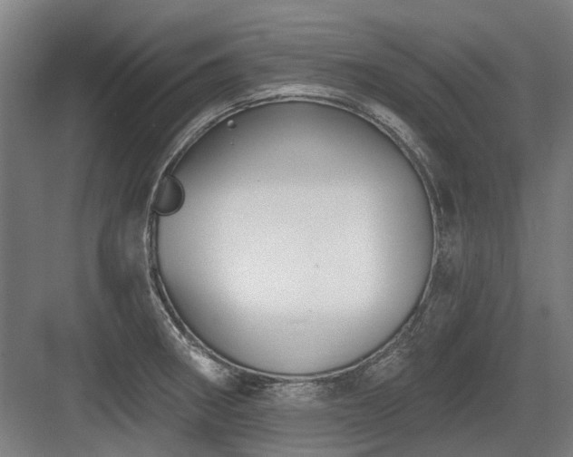 X0000083651282200702121140